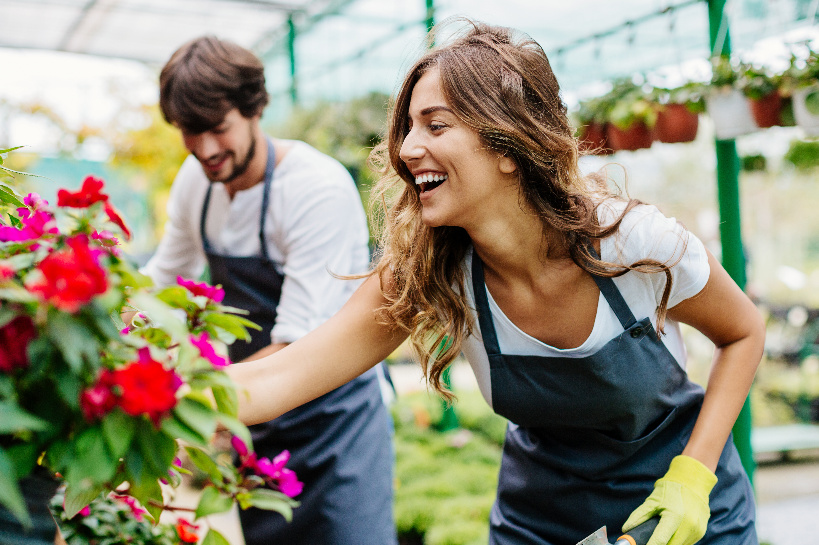 Partnership vs Trust vs Company: Tax Benefits